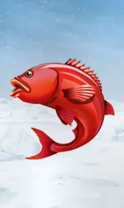 Ice Fishing